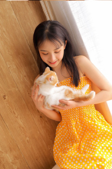 正版粉红淑女2